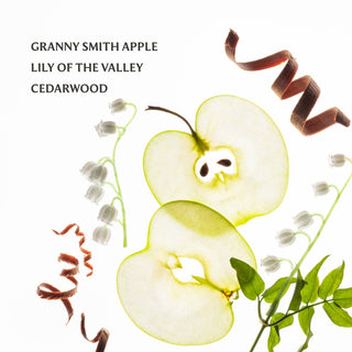 Applelicious Power Mist Hydrating Hand Sanitizer-Bath & Body-Touchland-Summit Lane Boutique, Women's Apparel and Gifts located in Grand Rapids, MI