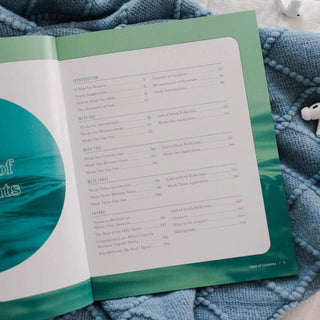 It Is Well for Teens-Devotions-The Daily Grace Co-Summit Lane Boutique, Women's Apparel and Gifts located in Grand Rapids, MI