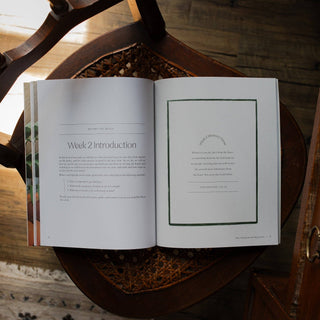 Fresh Start | 2 Week Study | Finding Peace in Christ for the Year Ahead-Devotions-The Daily Grace Co-Summit Lane Boutique, Women's Apparel and Gifts located in Grand Rapids, MI