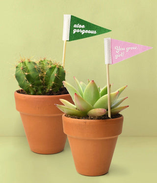 Seed & Sprout Rooting For You Plant Pennants-Gift Sets-DM Merchandising-Summit Lane Boutique, Women's Apparel and Gifts located in Grand Rapids, MI