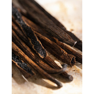 Vanilla - Smart Vial (Simplicity by Pura)-Home Fragrances-PURA SCENTS-Summit Lane Boutique, Women's Apparel and Gifts located in Grand Rapids, MI